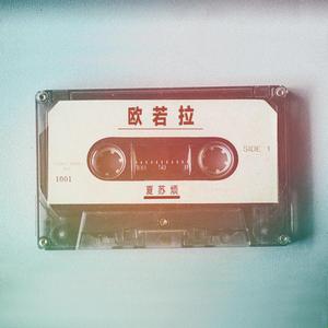 中国男同志视频网站
